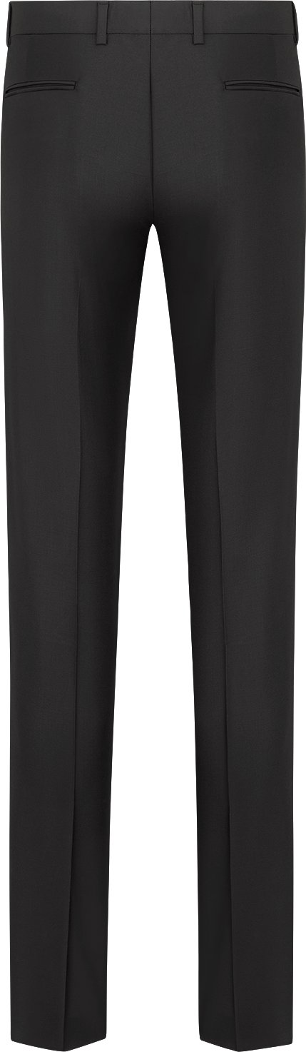 Tailored Straight Pants Back view