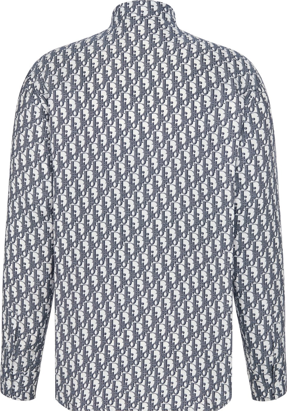 Camicia Dior Oblique aria_backView