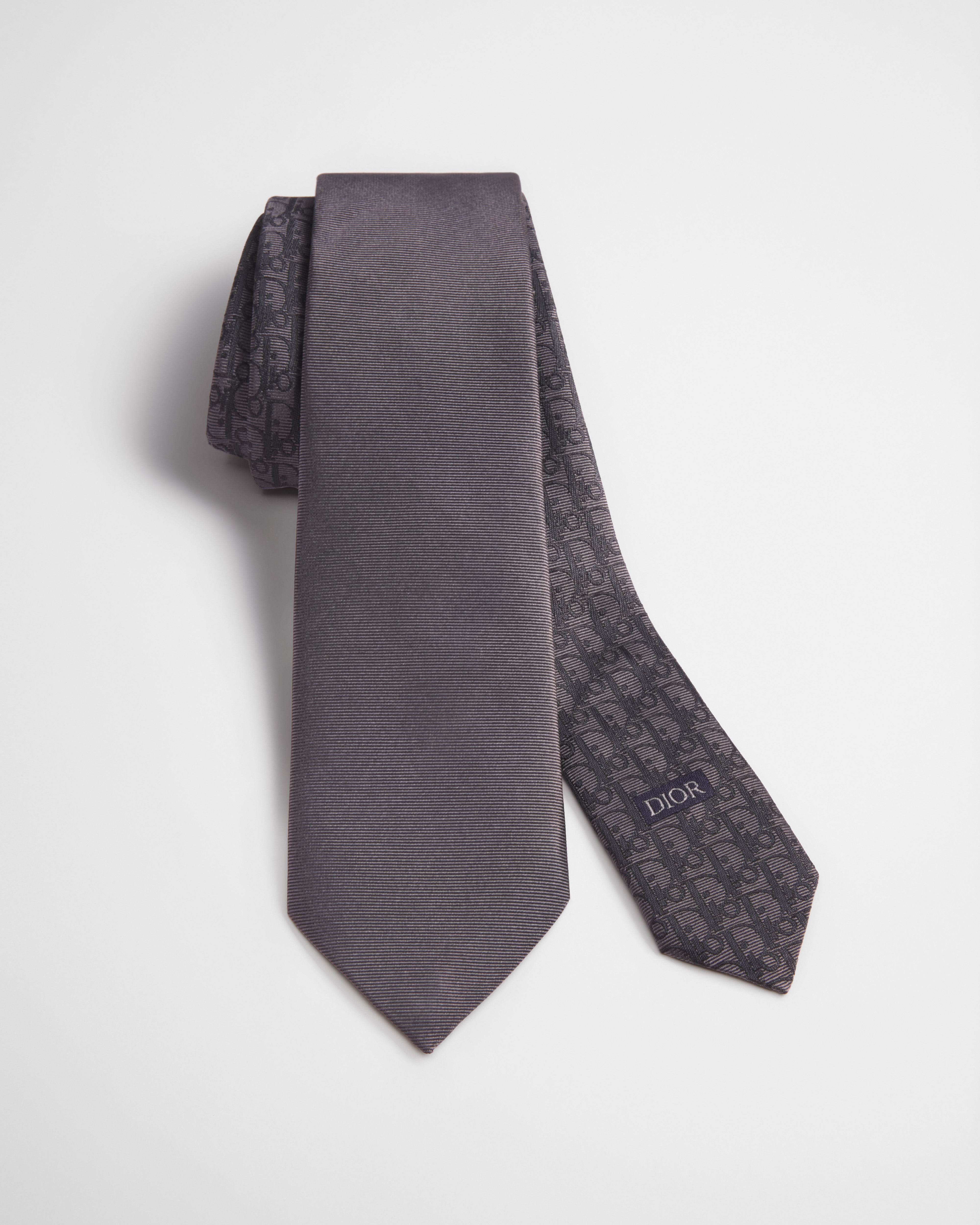 Striped Dior Oblique Tie Gray and White Silk E10