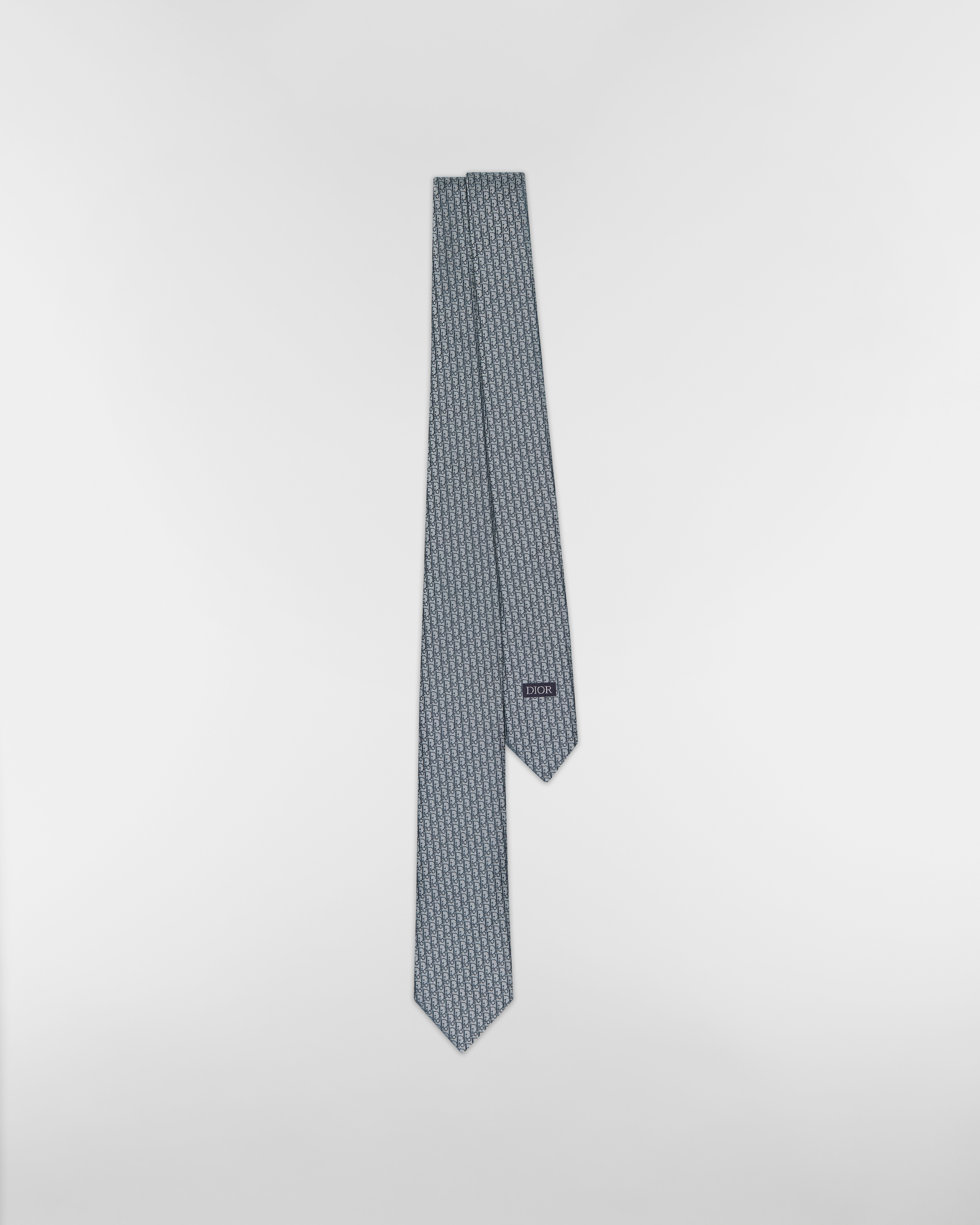 Dior Oblique Tie Gray Silk E01