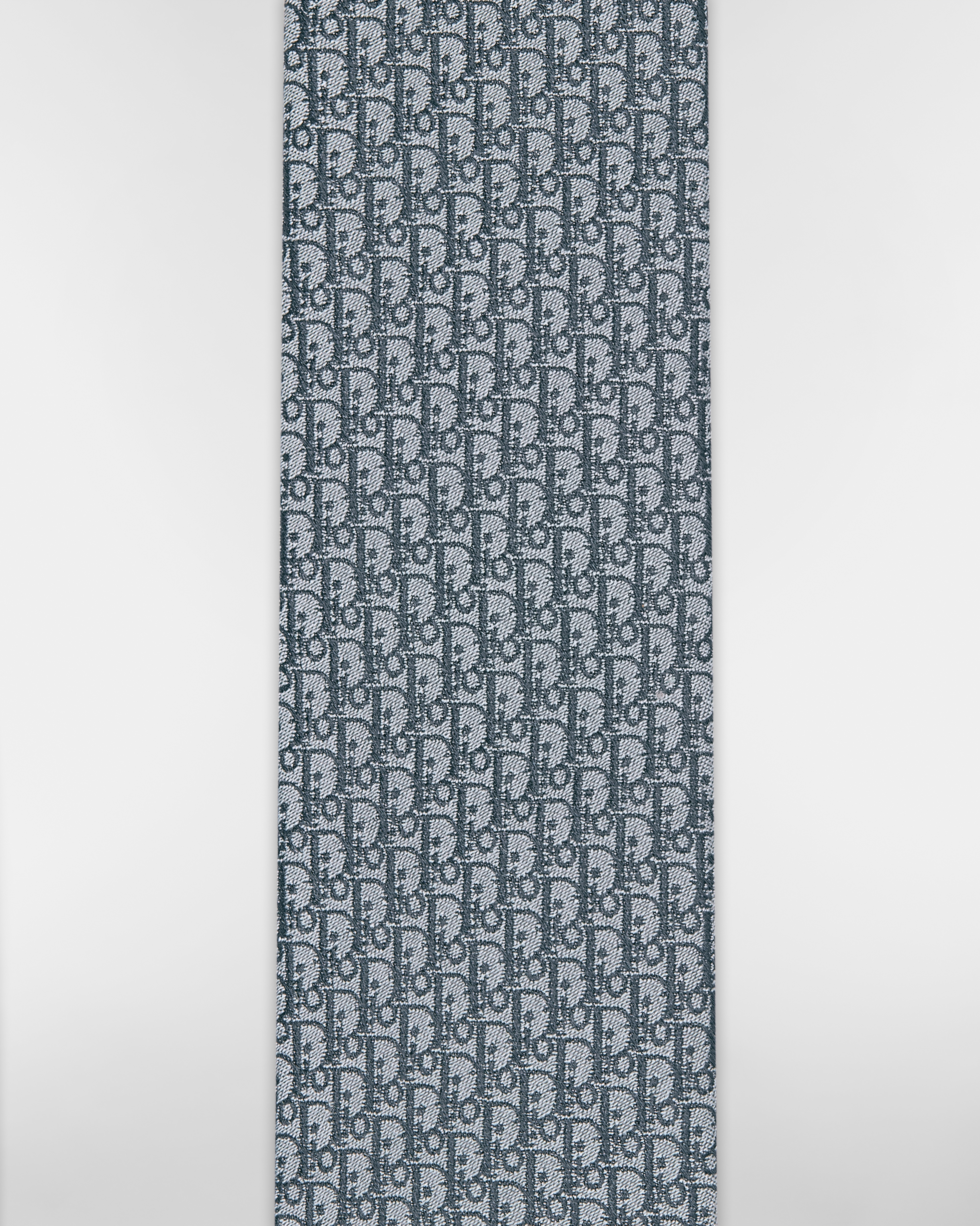Dior Oblique Tie Gray Silk E10