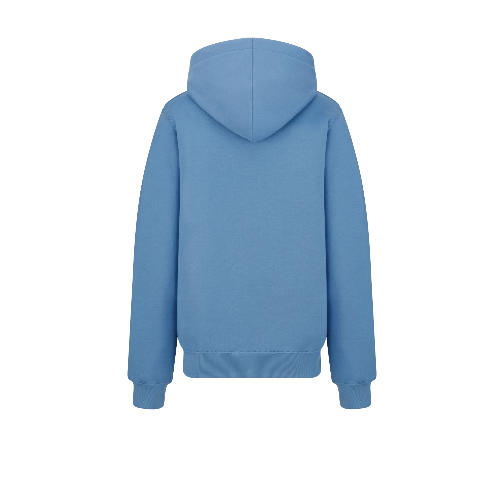 CD Icon Hooded Sweatshirt Blue Cotton Fleece E08