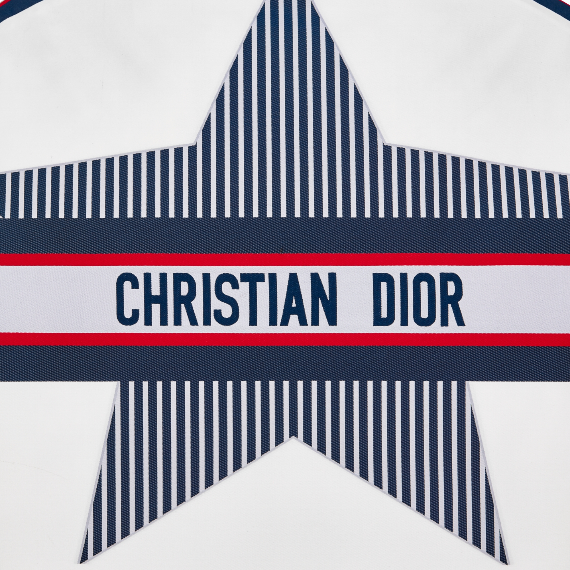 DiorAlps Hooded Puffer Jacket White Three-Tone Quilted Technical Taffeta with Dior Star Motif E09