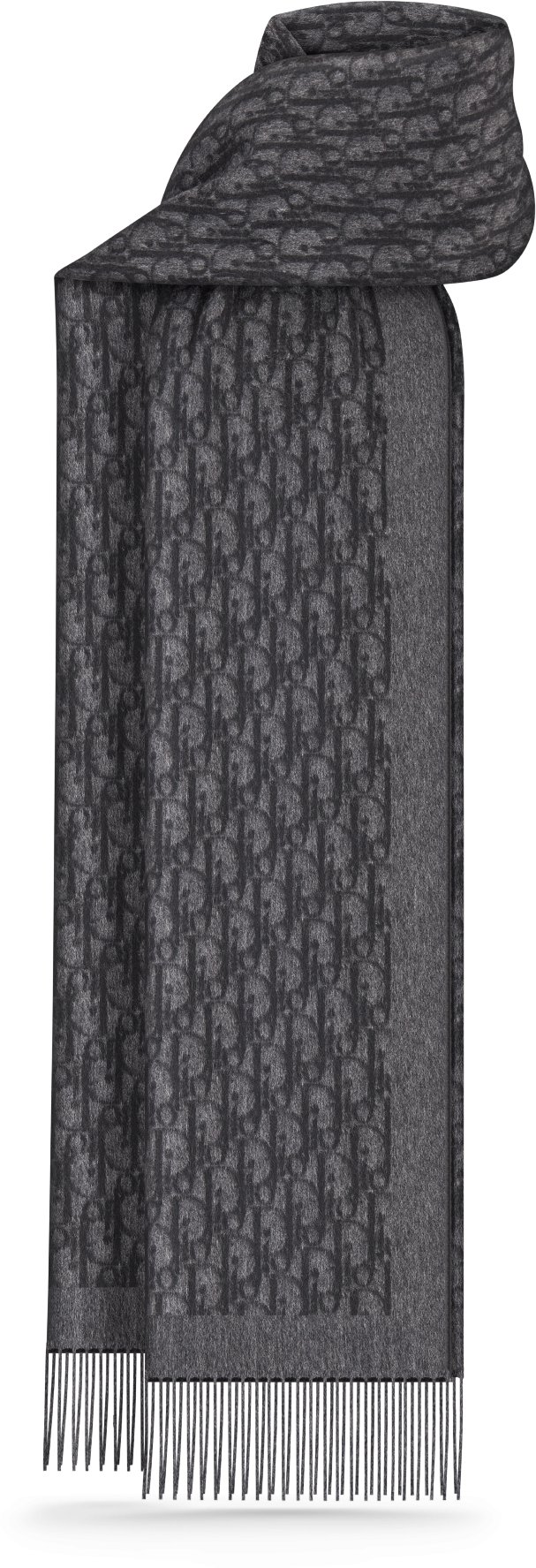 Dior Oblique Scarf Front view Front view