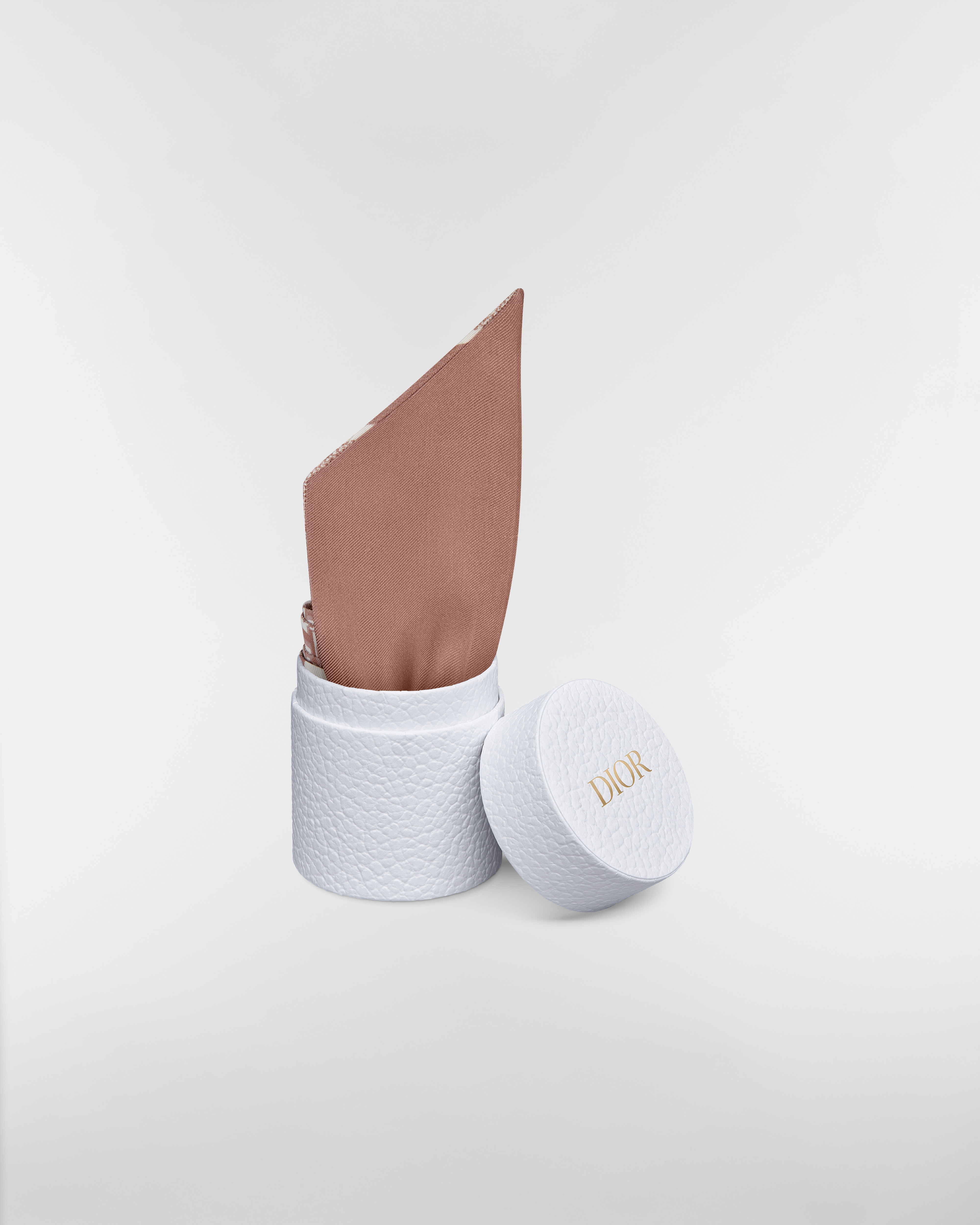 Dior Oblique 미차 스카프 Rose des Vents 실크 트윌 E10