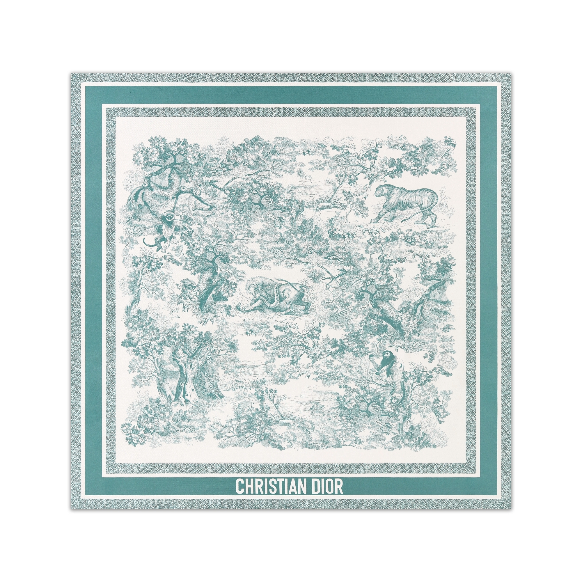 Dior 100%シルク ショール スカーフ 箱付 ミントグリーン スター Dior