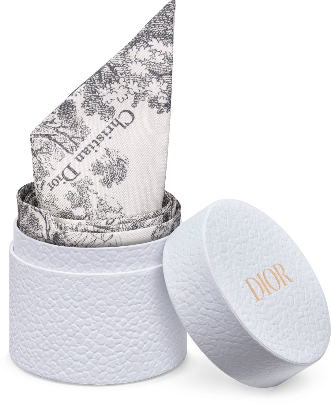 DIOR | ミッツァ スカーフ トワル ドゥ ジュイ ソヴァージュ シルクツイル