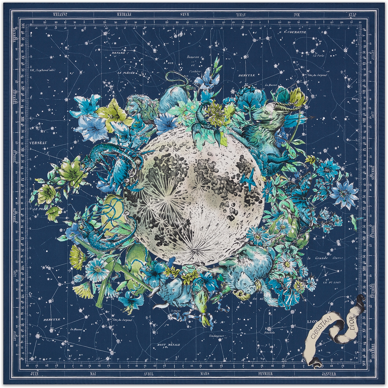 DIOR SCARF 90 CM IN SILK 733853