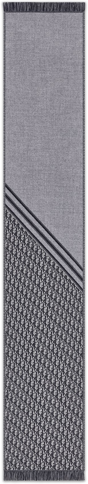Dior Oblique Scarf Back view