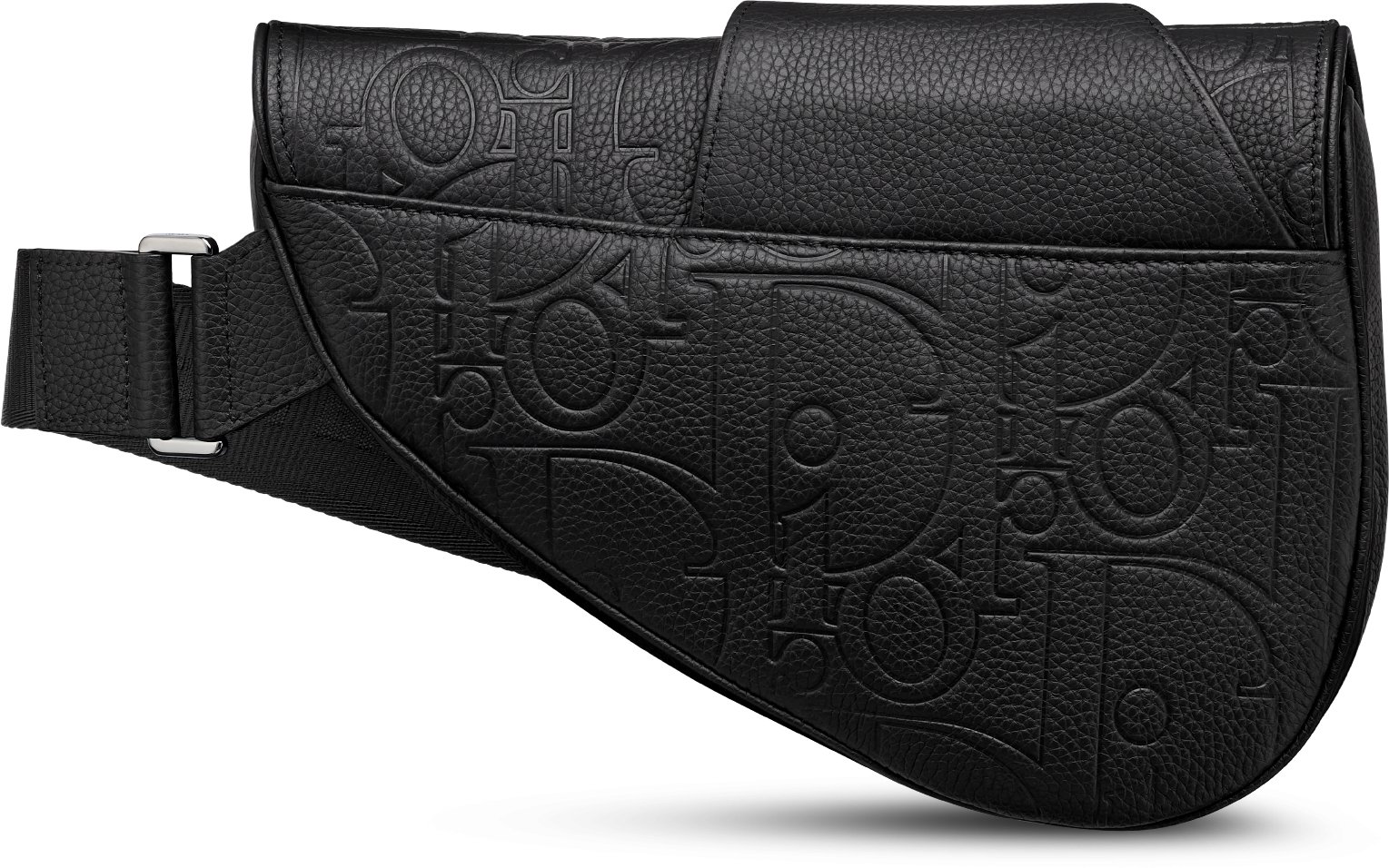 Saddle Bag aria_backView