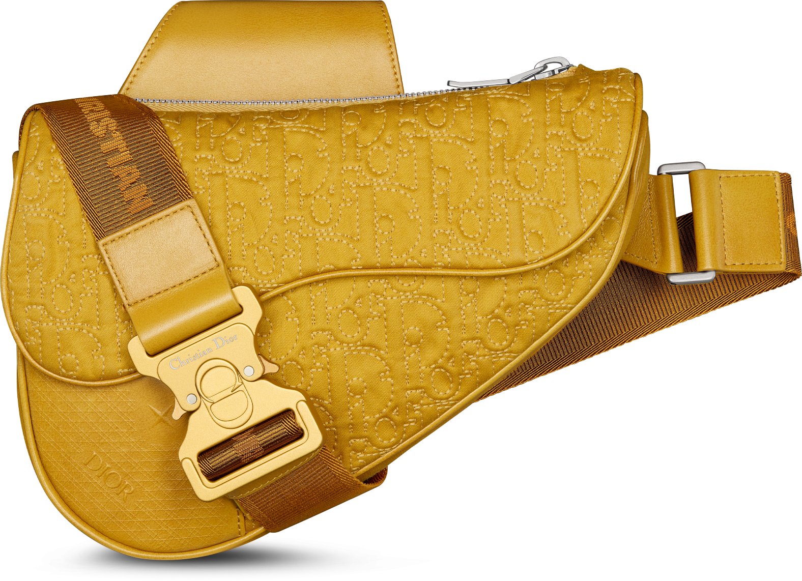 Dior buckle bag sale