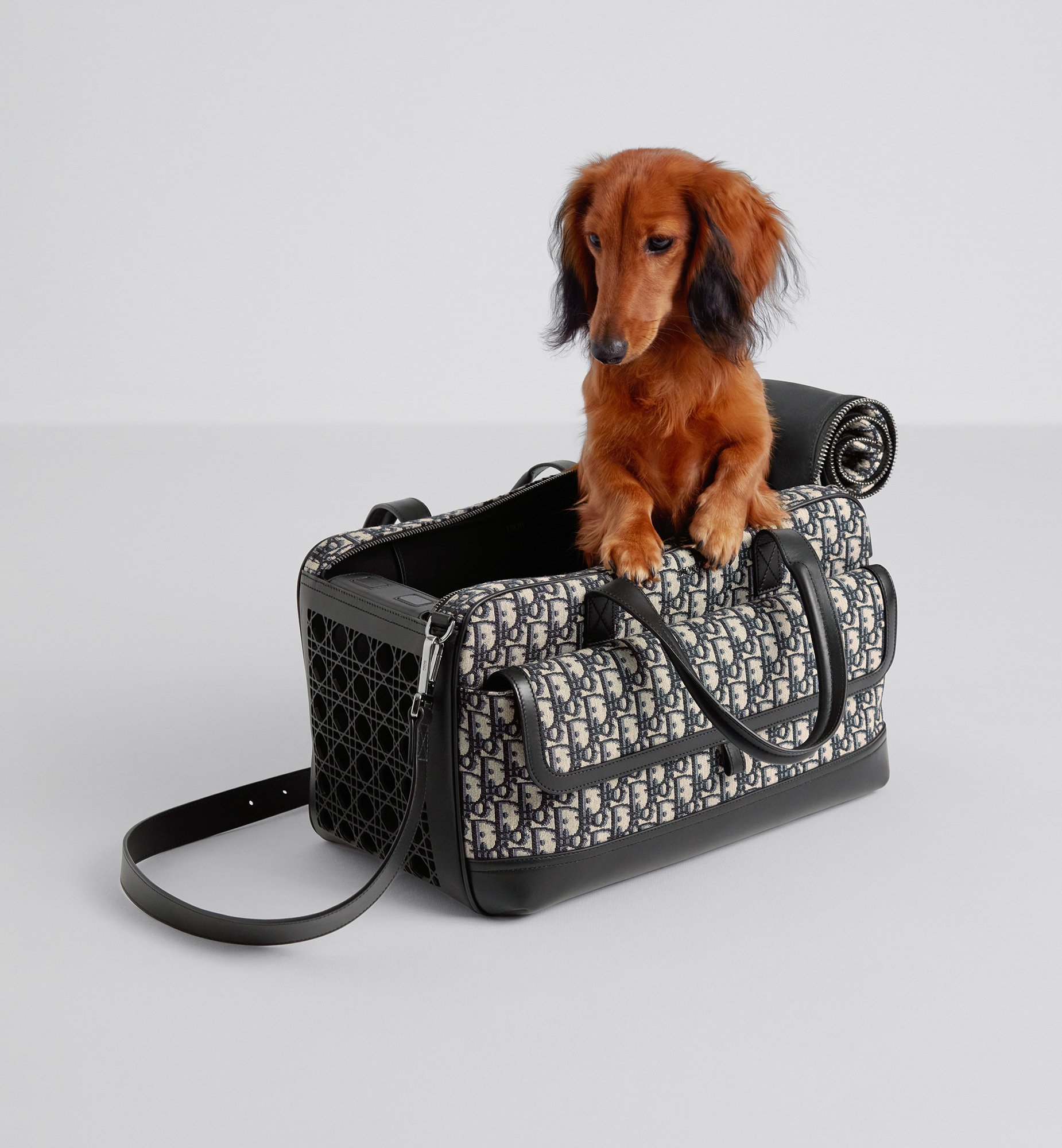 Dior Hit the Road Pet Carrier Bag Detailed view