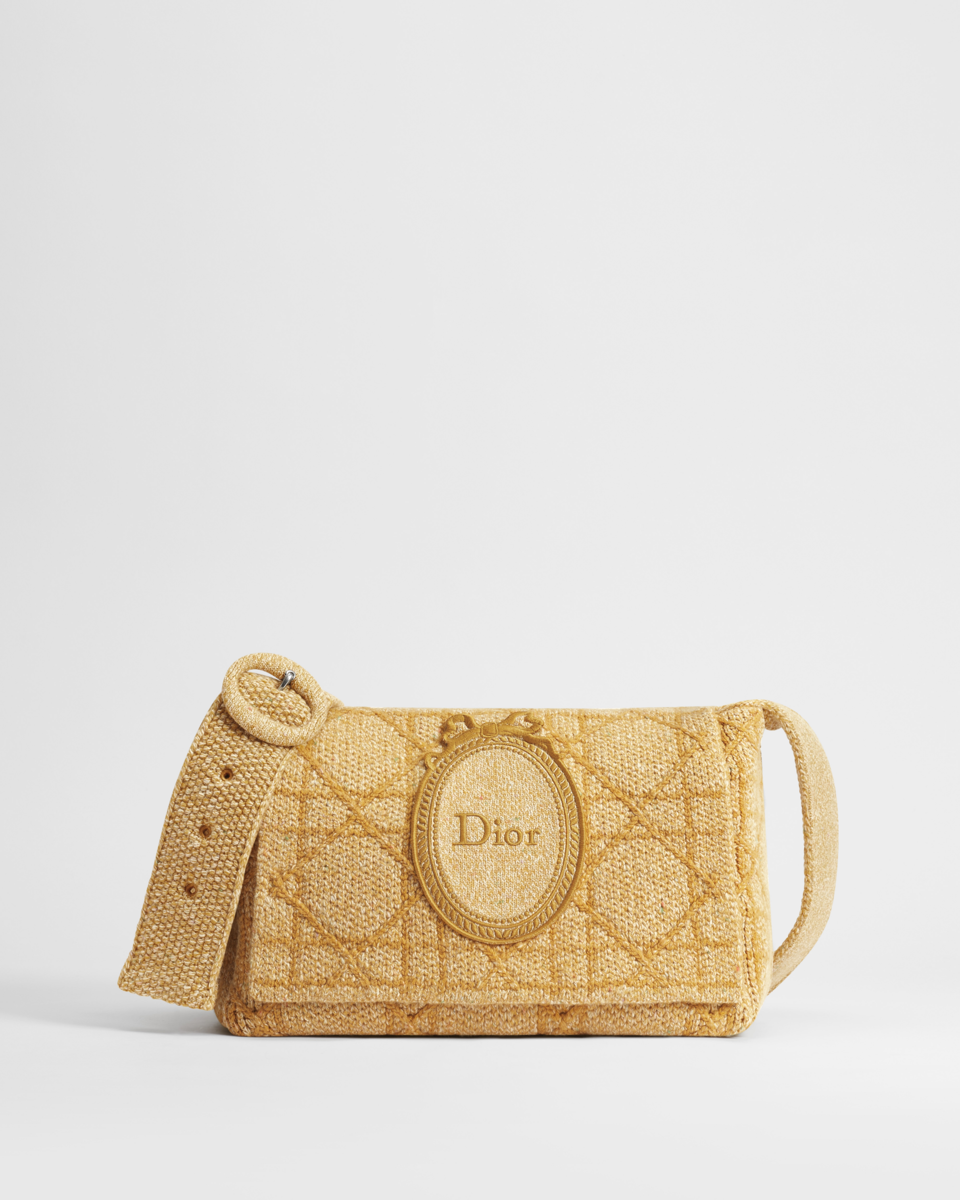 Dior Médaillon Messenger Flap Bag