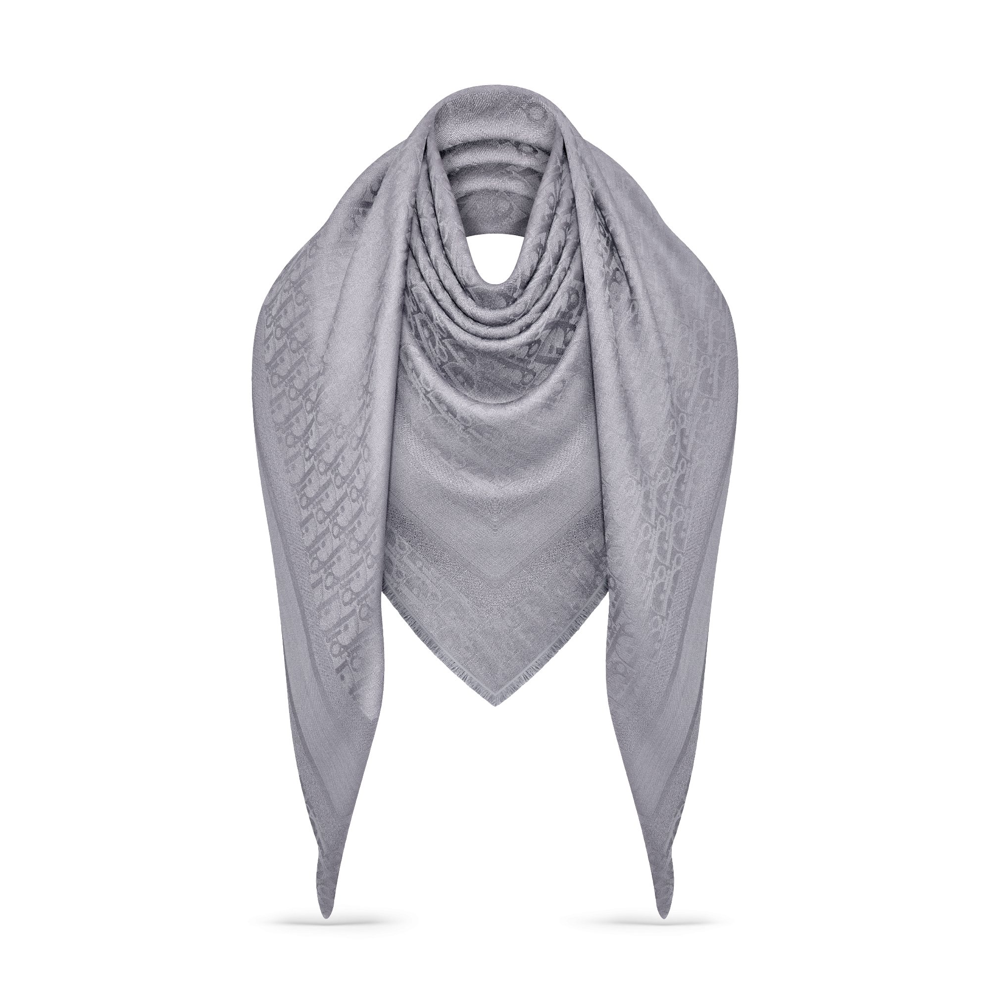 Dior Oblique Shawl Worn view cropped