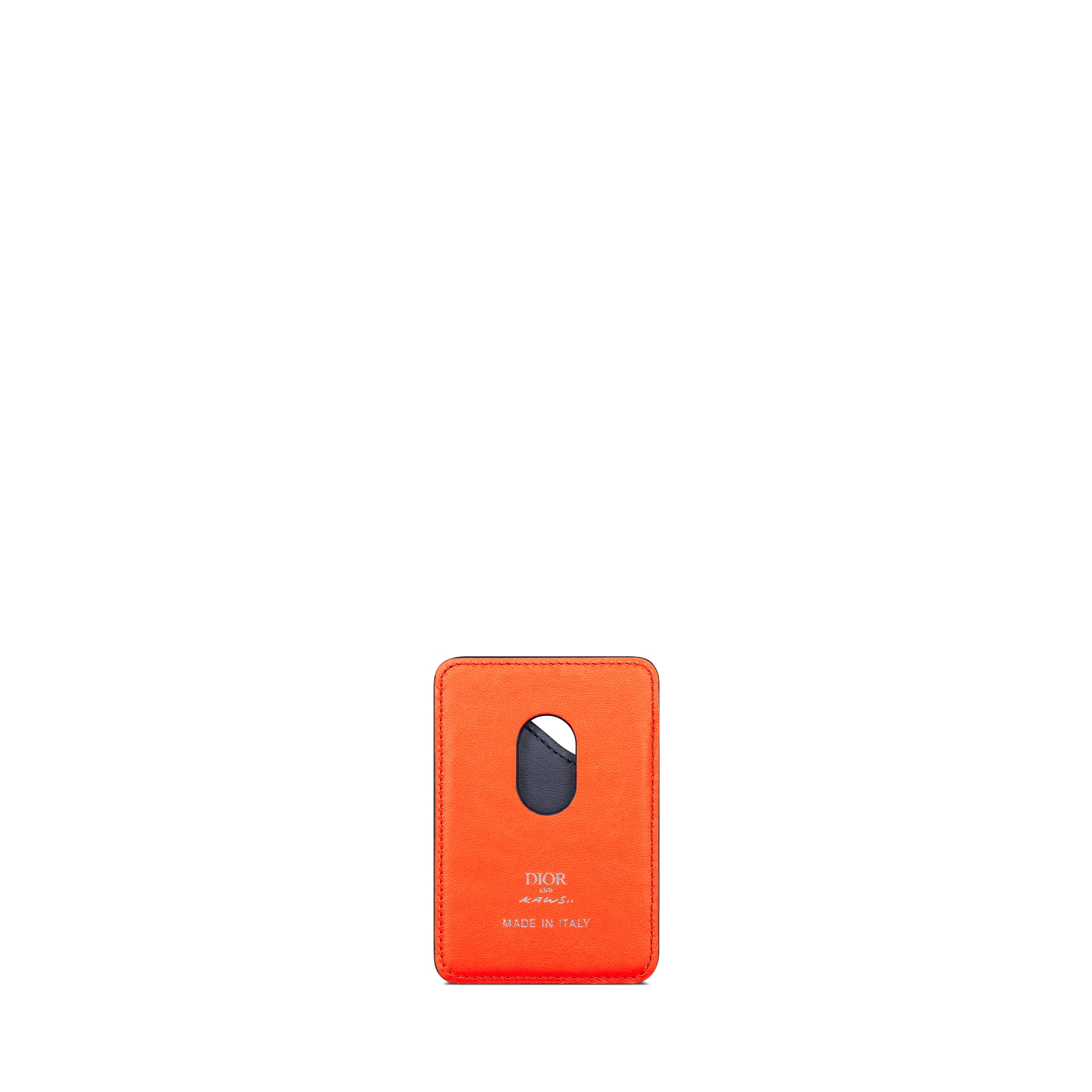 dior kaws card holder