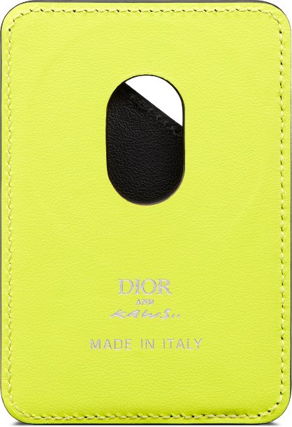 dior kaws card holder