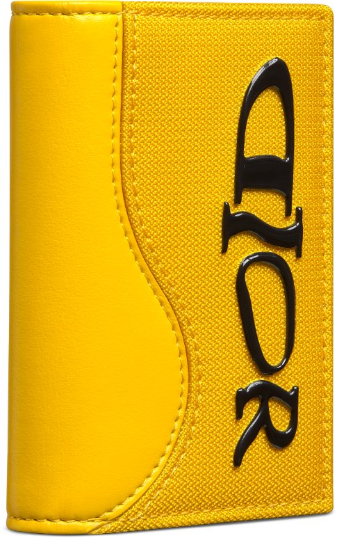 디올 디올 X 루이스해밀턴 새들 세로형 이중 폴더 카드 홀더 2ADCH169LWH_H20E