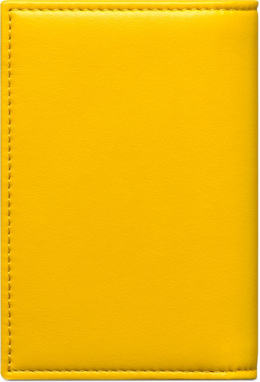 디올 디올 X 루이스해밀턴 새들 세로형 이중 폴더 카드 홀더 2ADCH169LWH_H20E