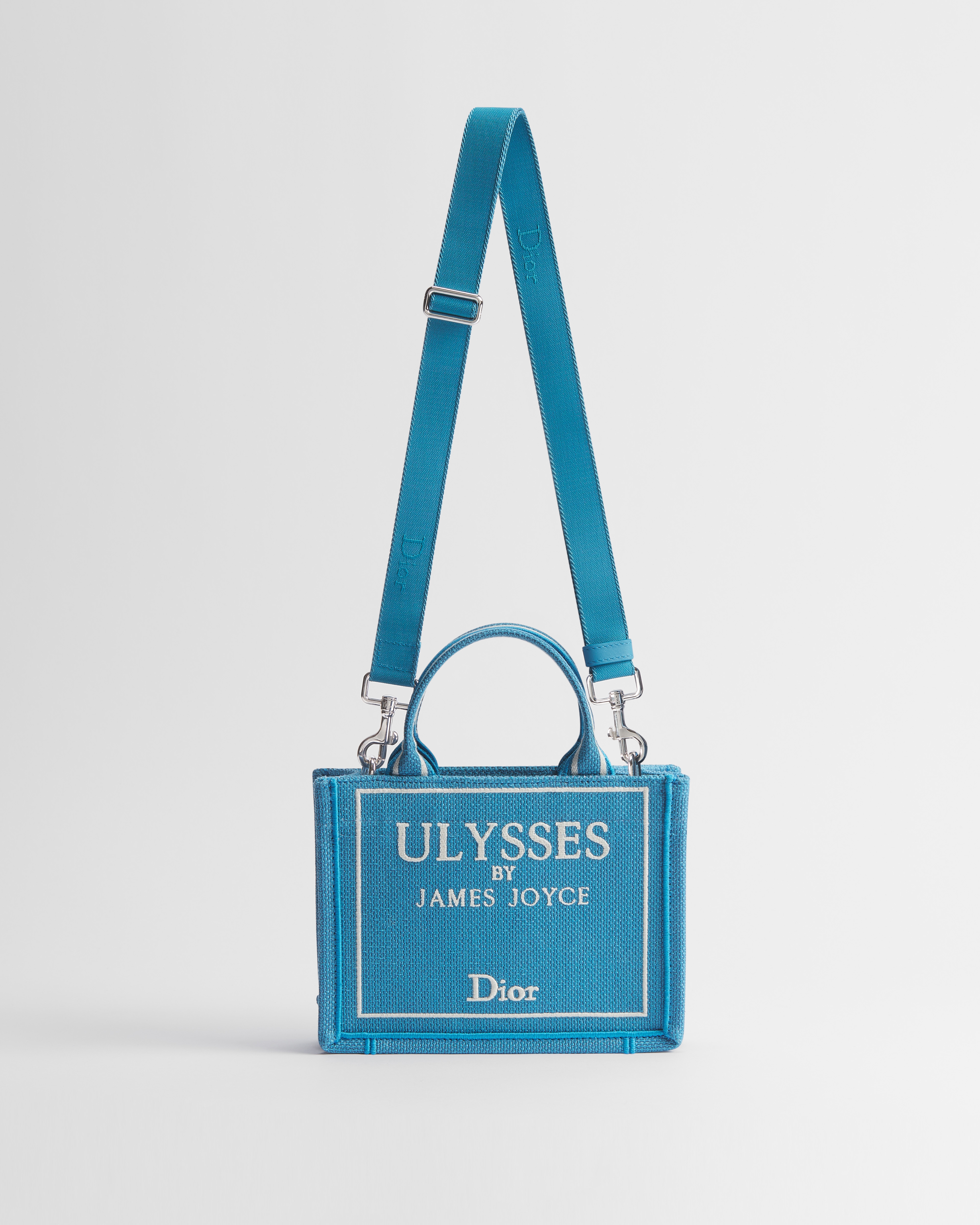 Mini Dior Book Tote mit Schulterriemen Book Cover-Stickerei in Hellblau und Weiß (20 x 15,5 x 6 cm) E07