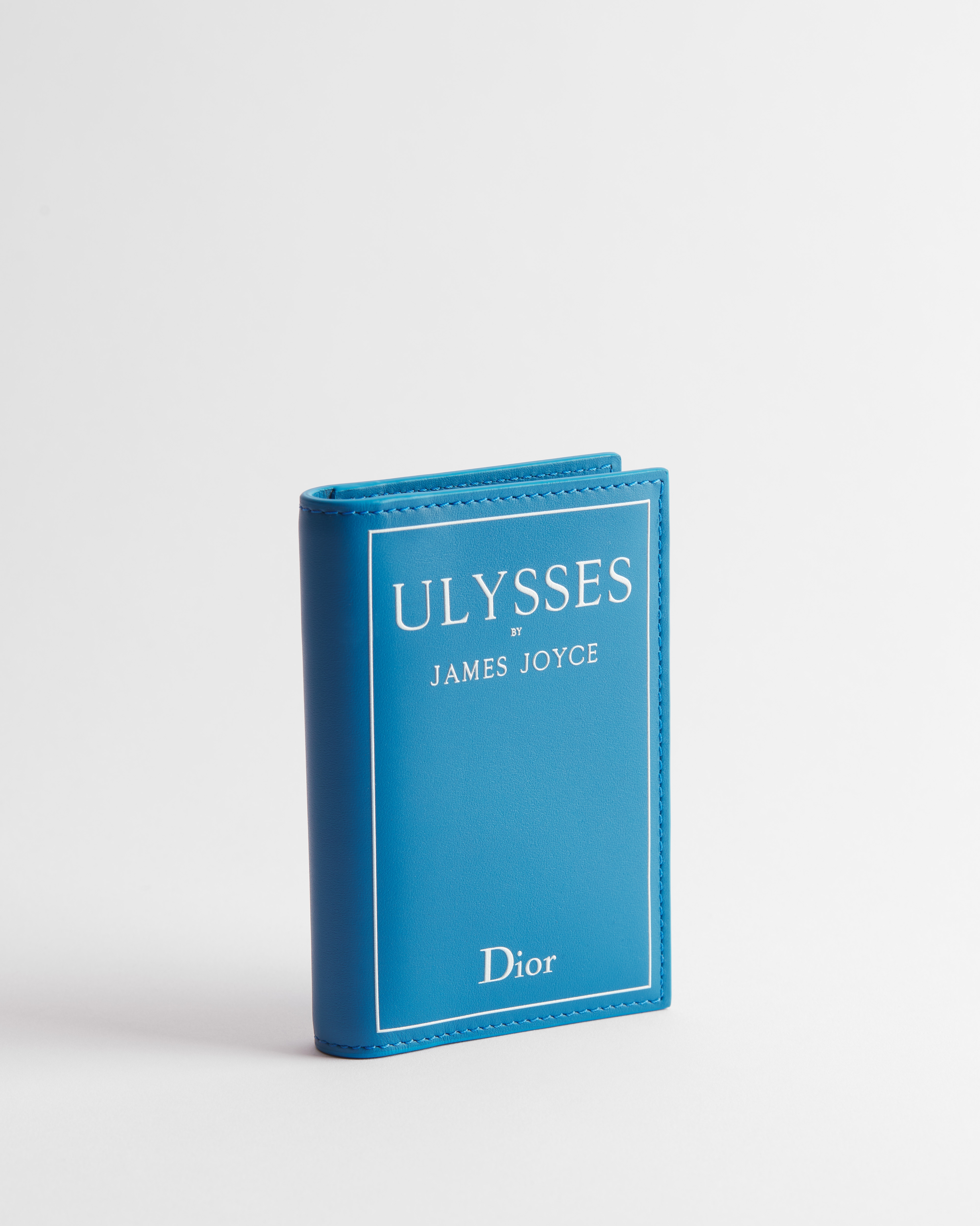 Bifold-Kartenetui Book-Cover-Prägung auf Kalbsleder in Hellblau und Weiß E03