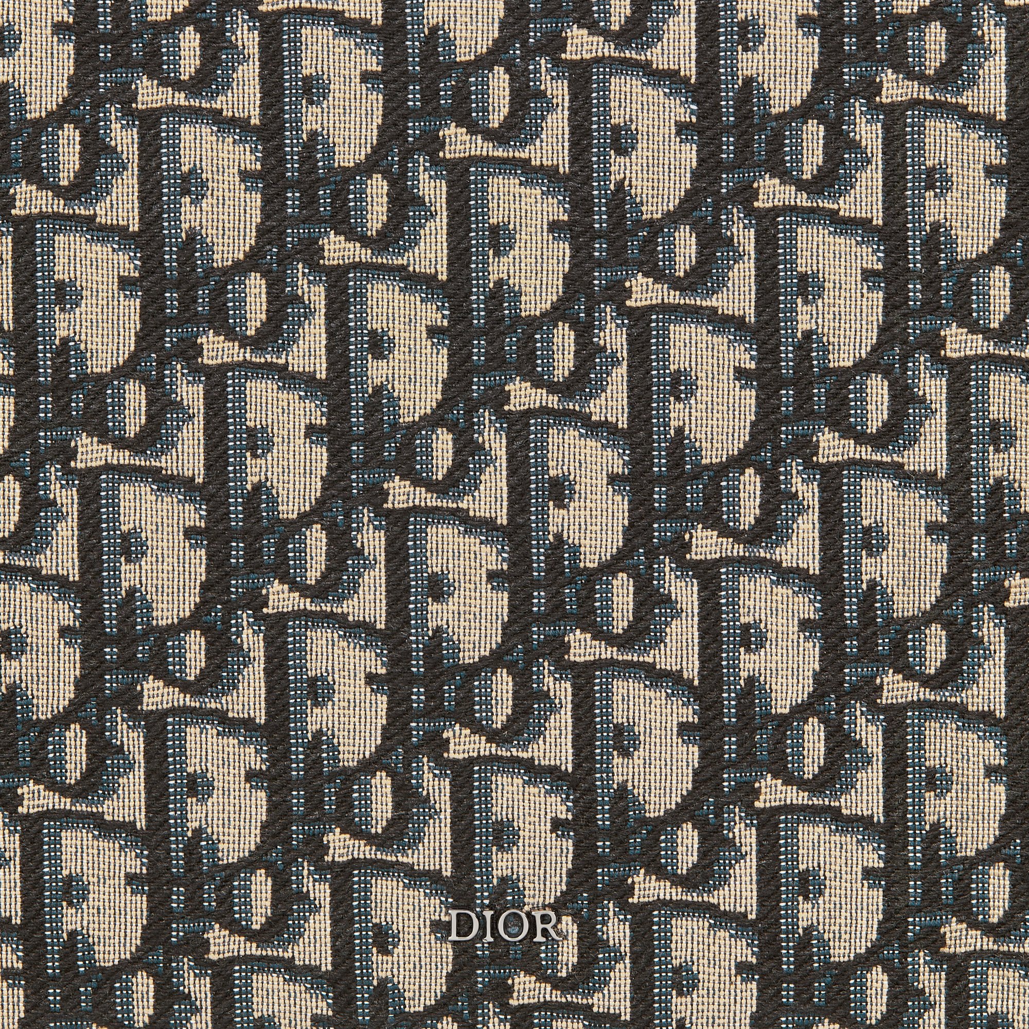 디올 A5 파우치 2ESCA490YSE_H05E