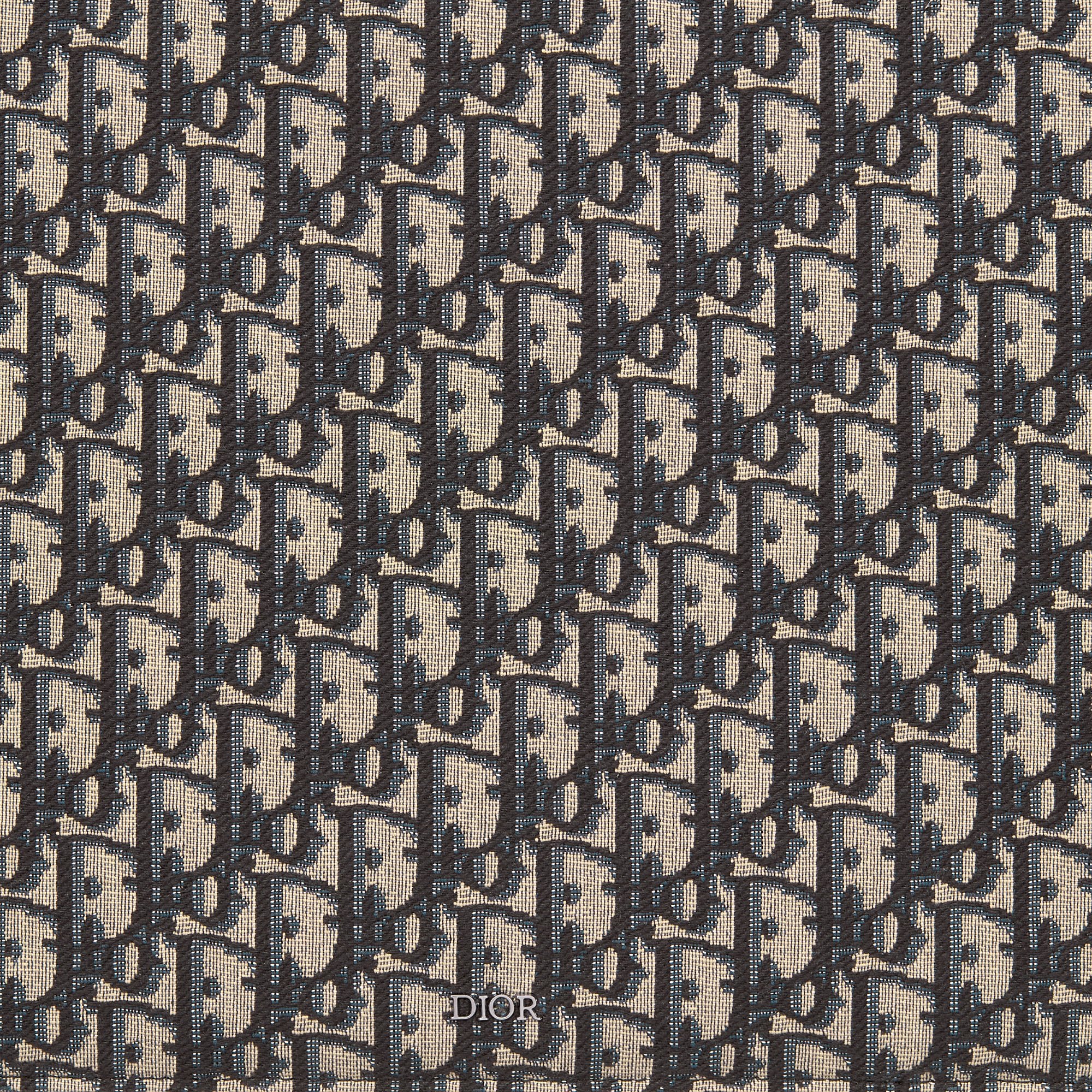 디올 A4 파우치 2ESCA491YSE_H05E