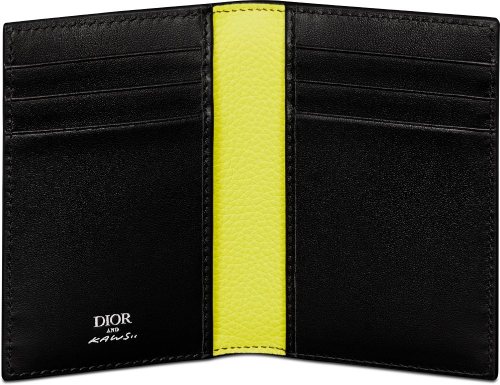 dior kaws card holder