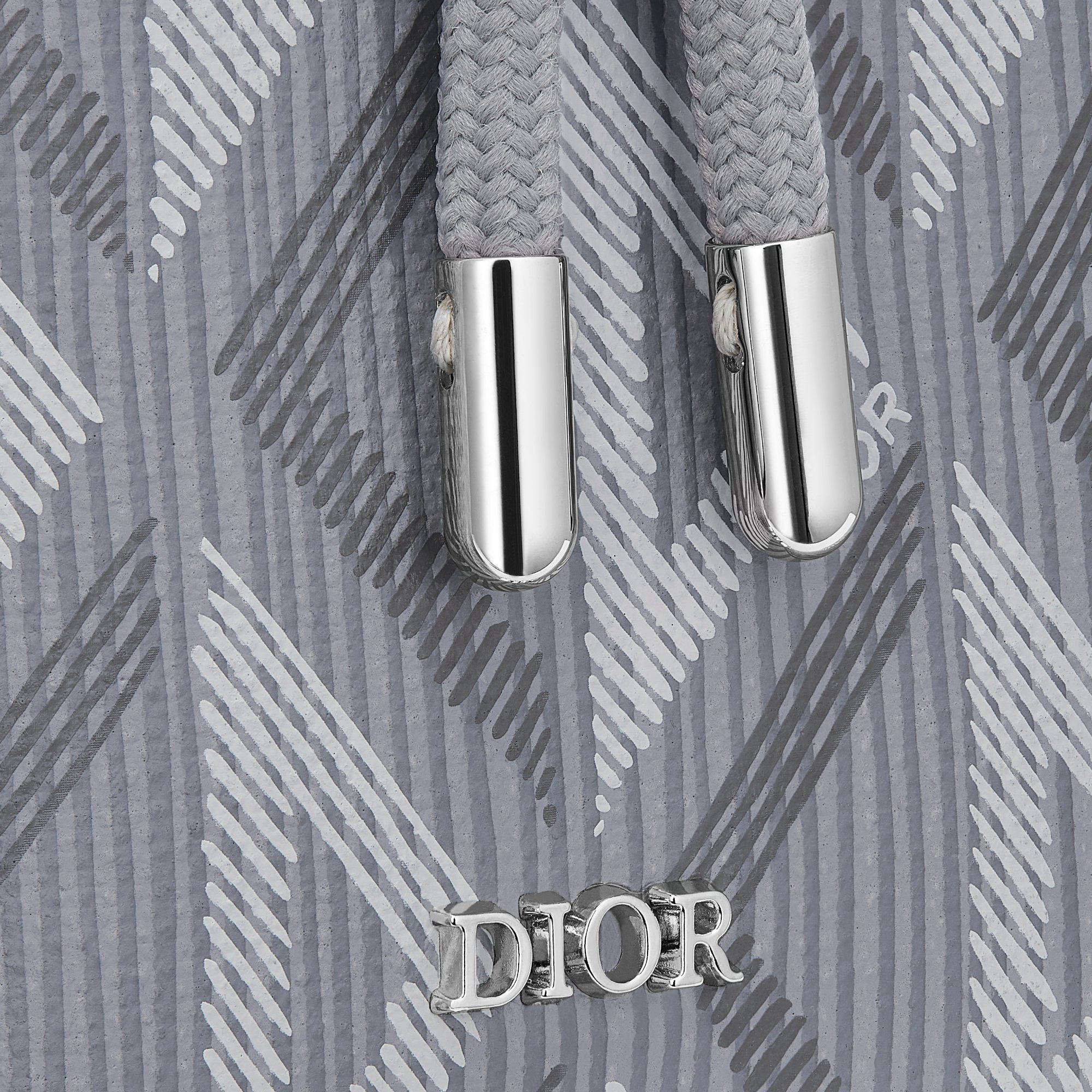 디올 수직 카드 홀더 2ESCH151CDP_H42E