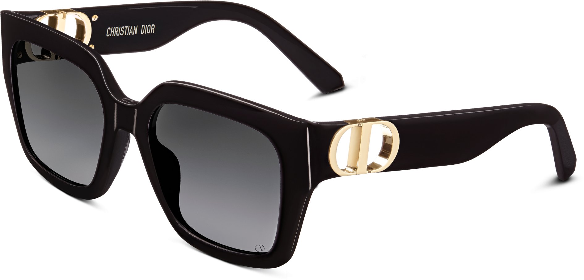 Dior izon 51mm sunglasses cheap