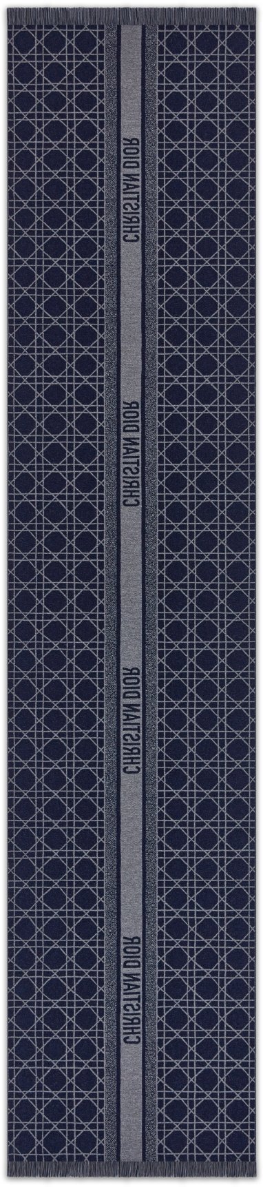 Dior Cannage Scarf Back view