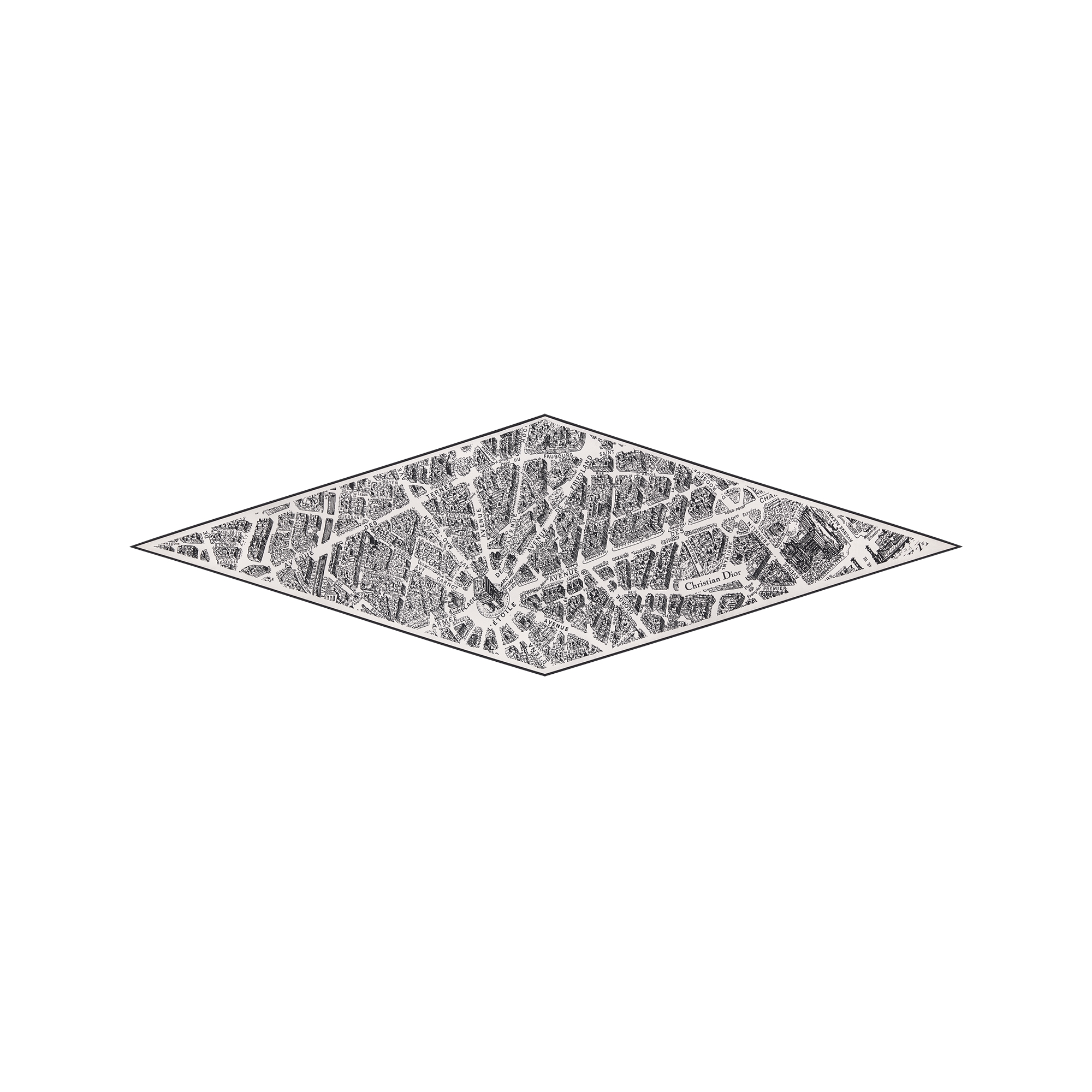 Plan de Paris Dior Diamond White and Black Silk Twill E01