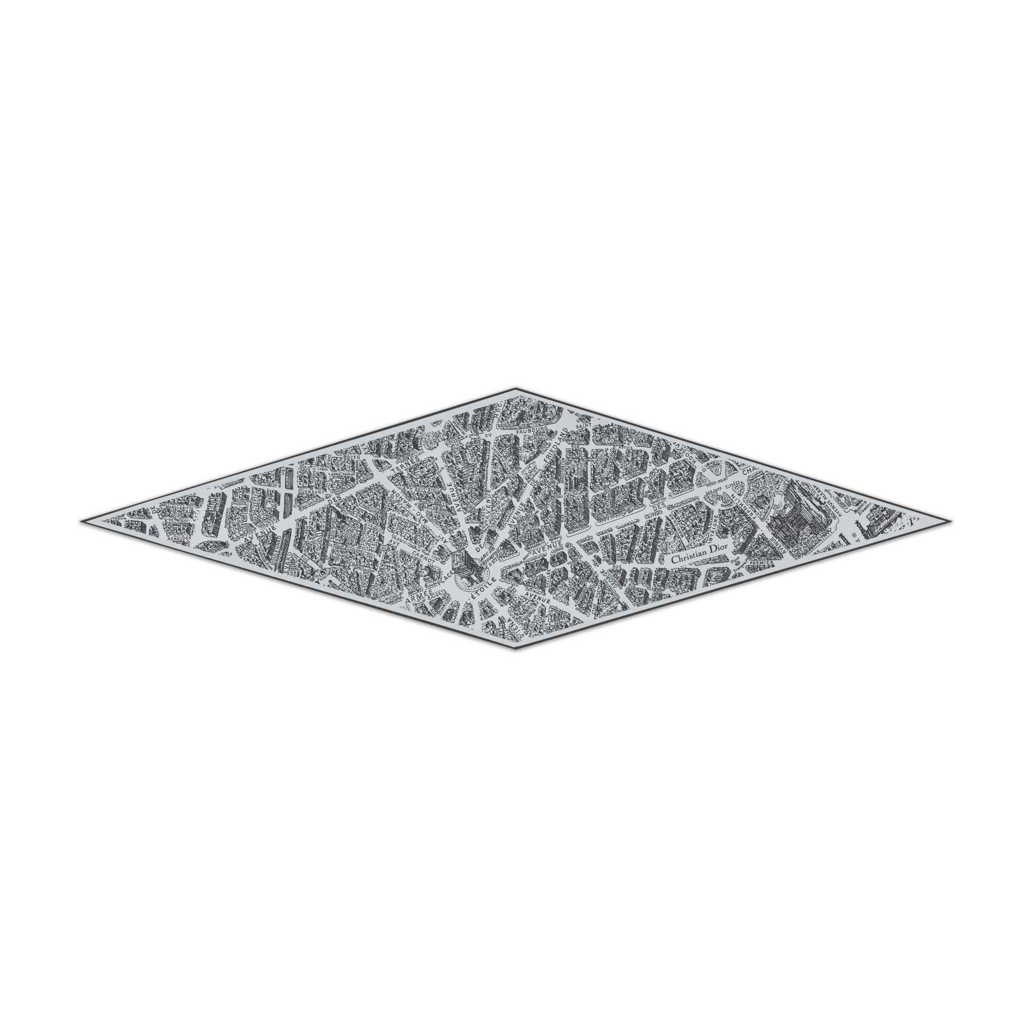 Plan de Paris Dior Diamond Gray and Black Silk Twill E01
