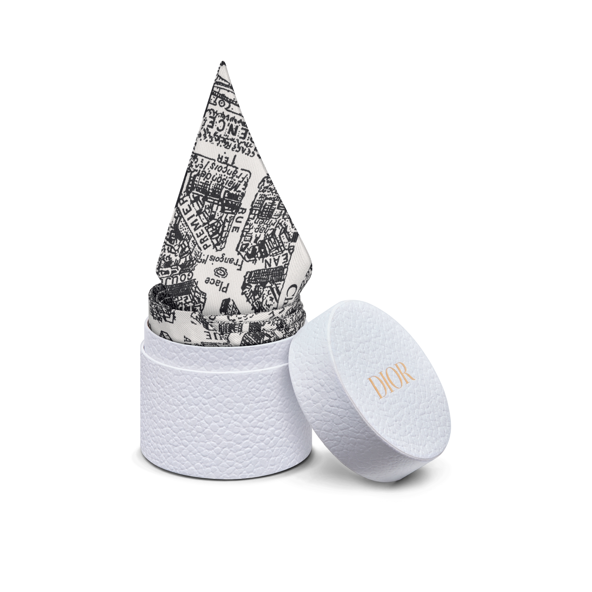 Plan de Paris Mitzah Scarf