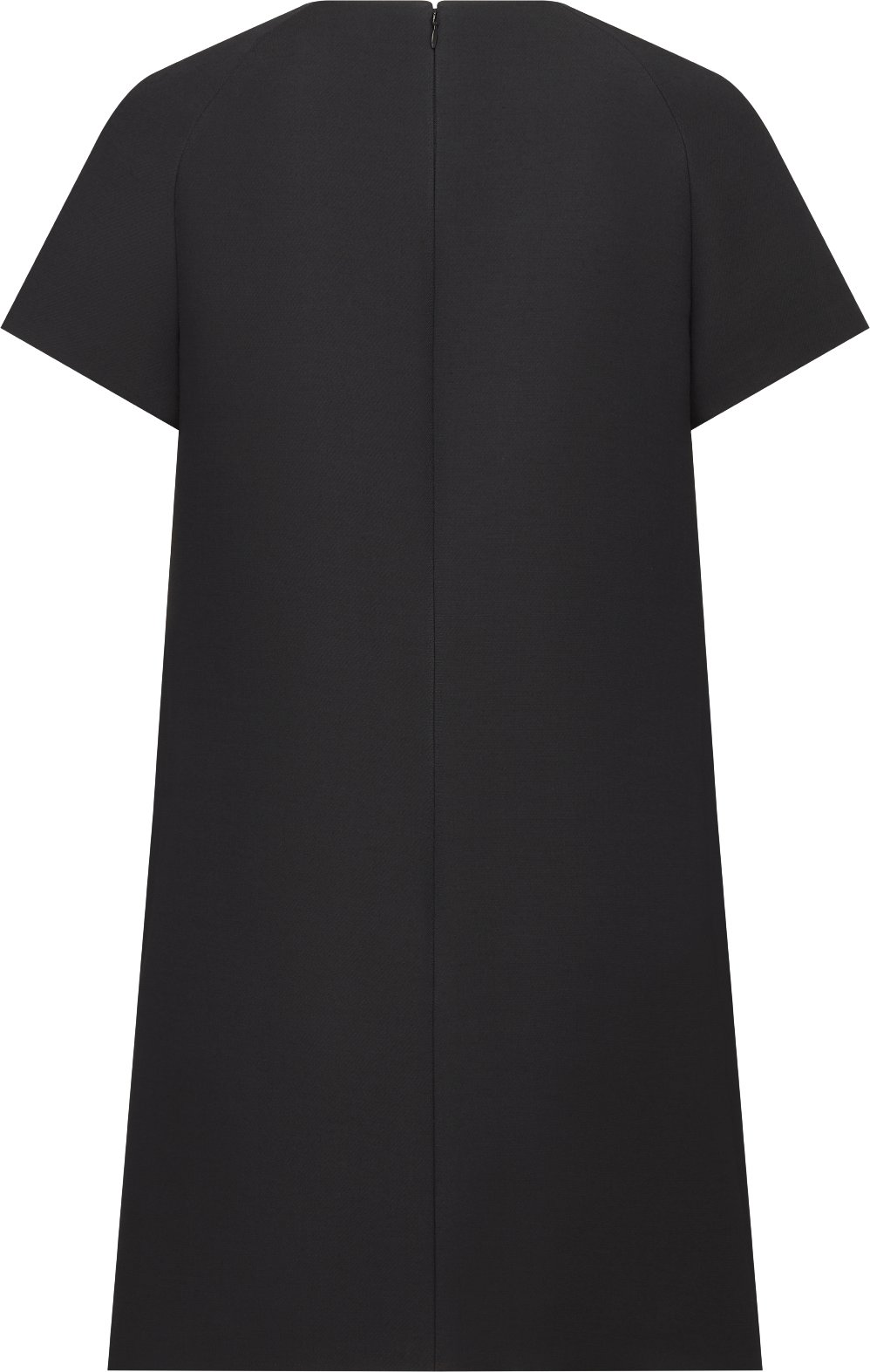 Straight Dress Back view