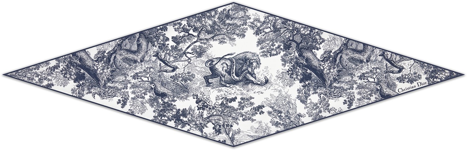 DIOR | Dior Diamond スカーフ トワル ドゥ ジュイ ソヴァージュ シルクツイル