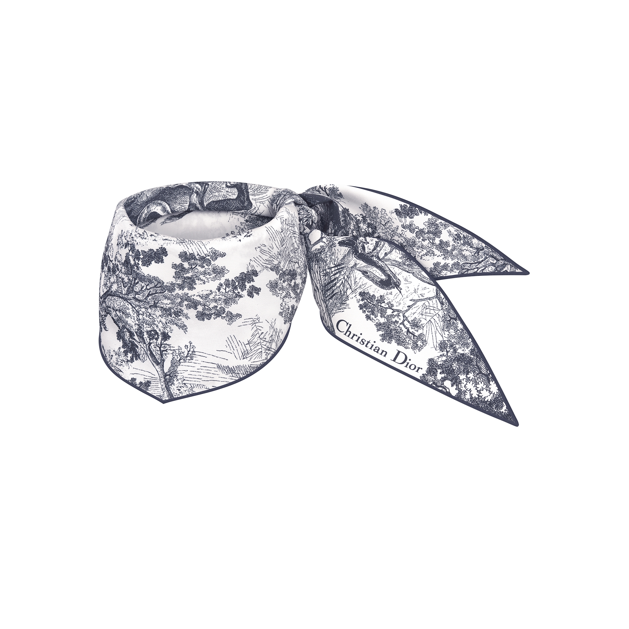 Toile de Jouy Sauvage Dior Diamond Ivory and Navy Blue Silk Twill E02