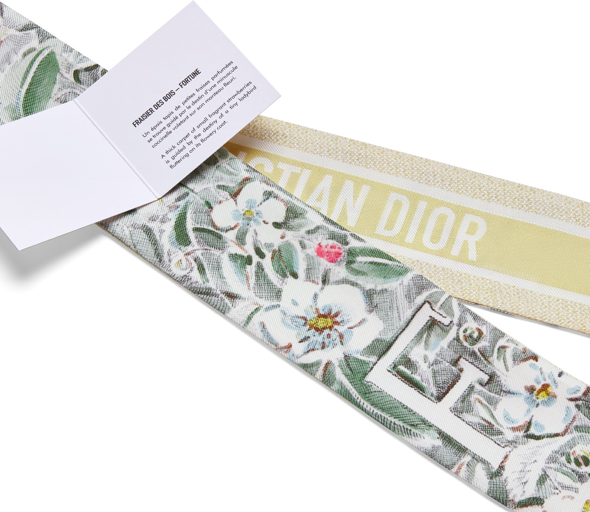 ABCDior F Fraisier des Bois - Fortune Mitzah 絲巾 aria_detailedView