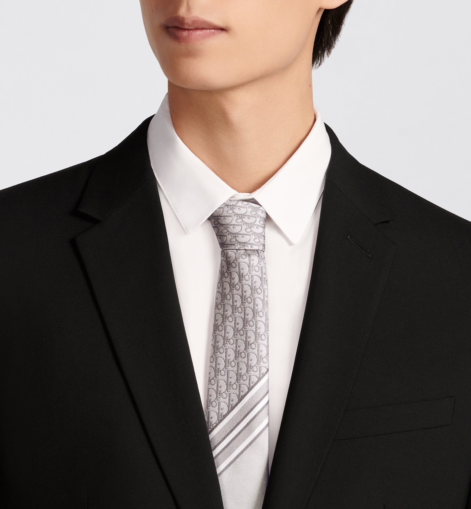 Striped Dior Oblique Tie Gray and Light Gray Silk E12