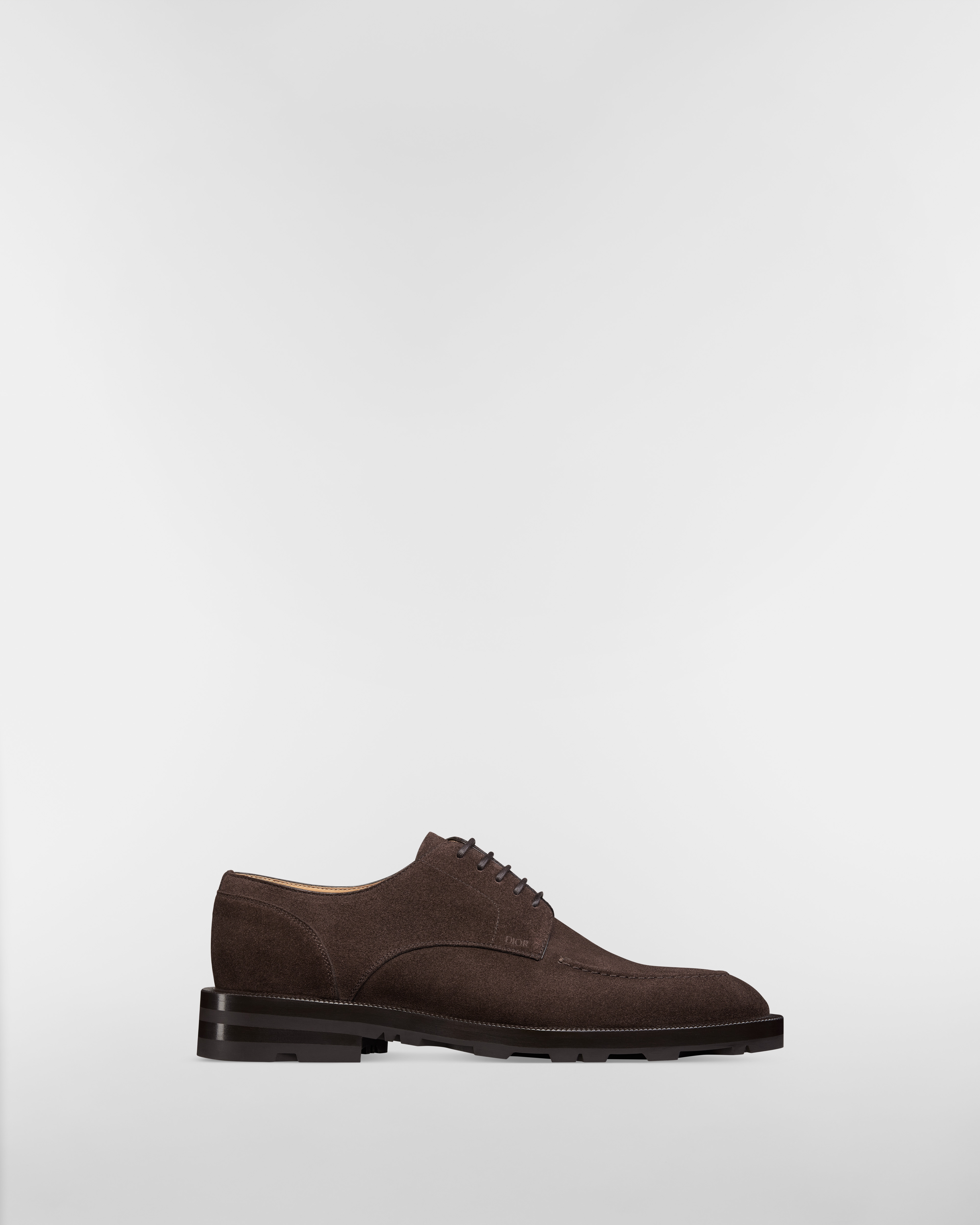 Dior Regency Derby Shoe