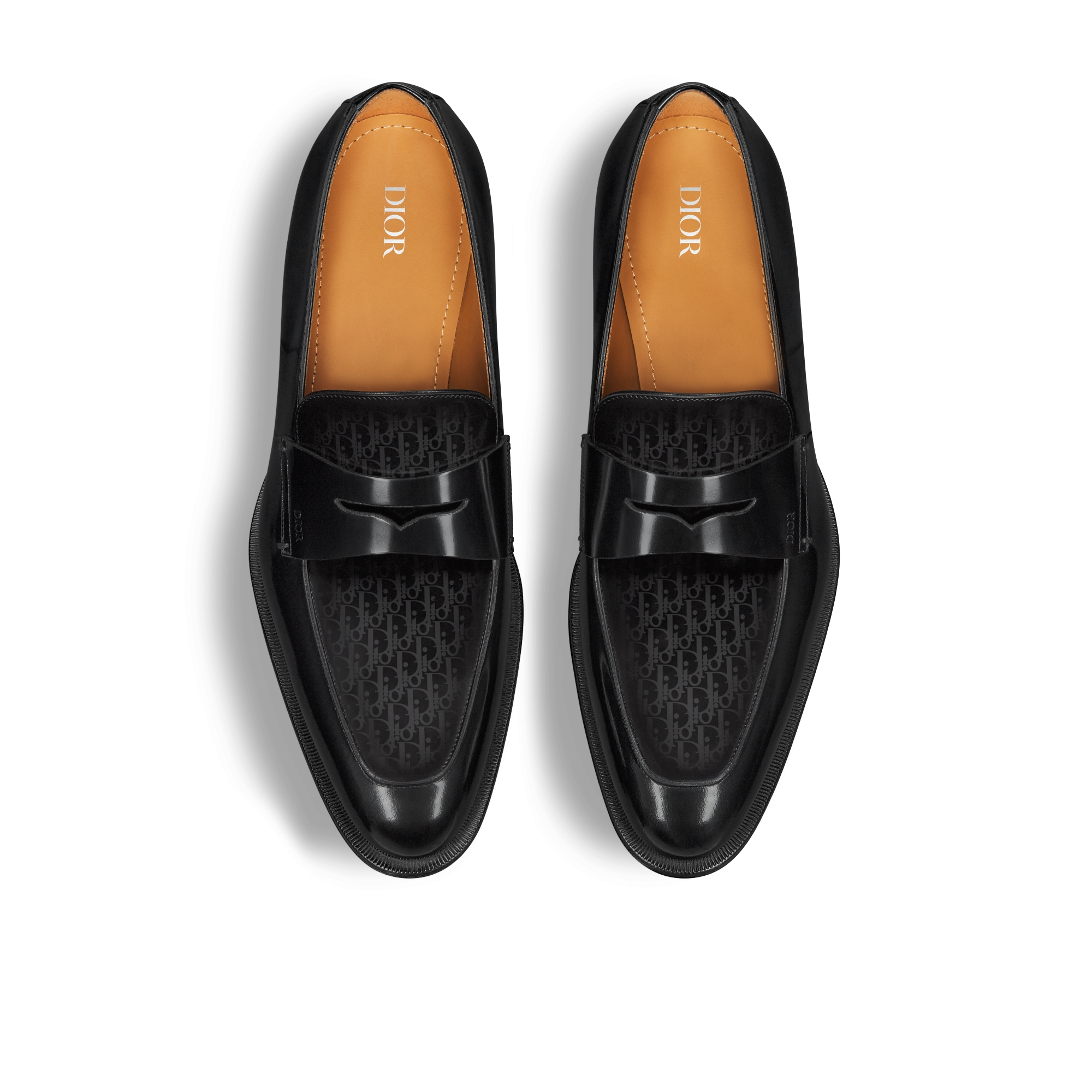 Dior Timeless 로퍼 Dior Oblique 그라데이션 & 블랙 유광 송아지 가죽 E06