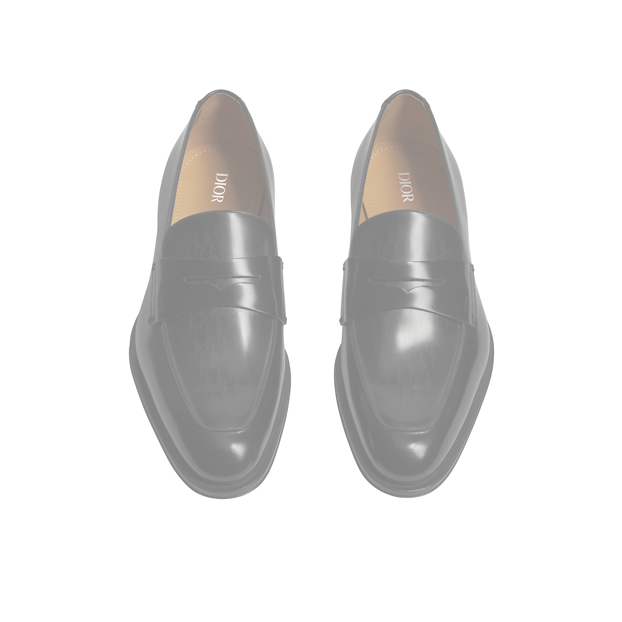 Dior Timeless Loafer Black Polished Calfskin with Dior Oblique Gradient E06