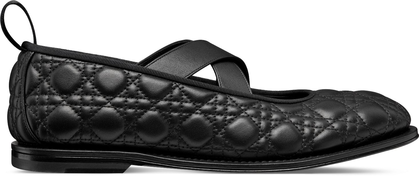 Dior new flats discount
