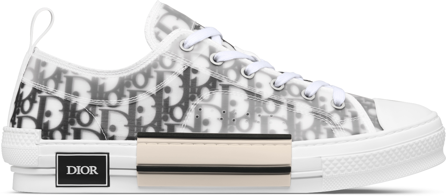 Dior oblique sneakers low top best sale