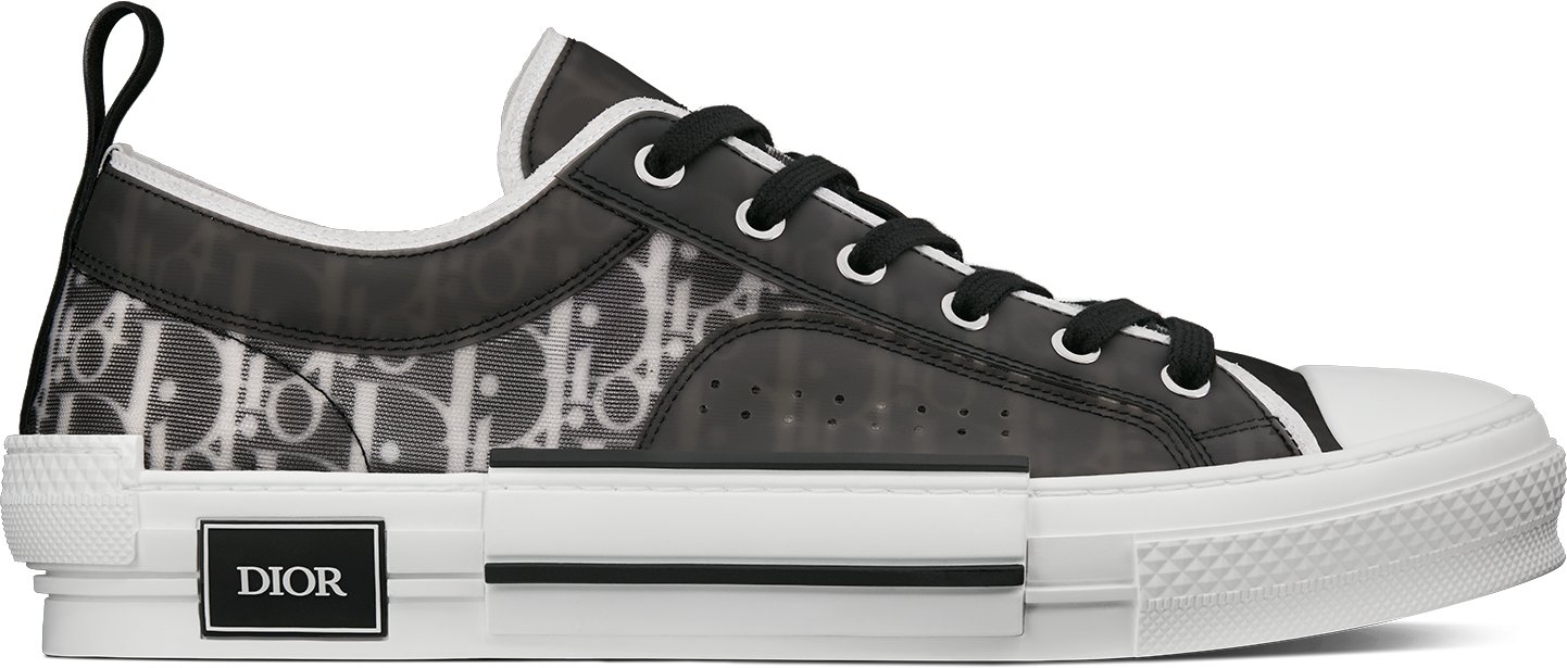Dior shoes low top deals