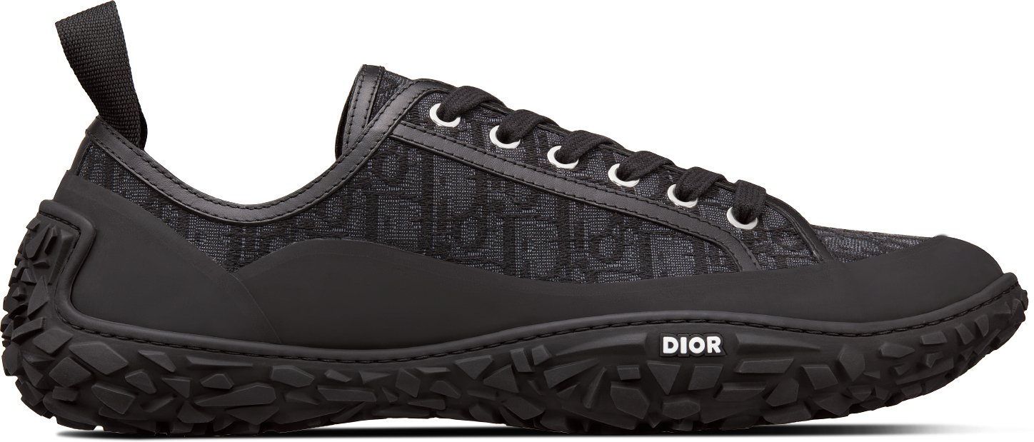 Dior lace up shoes on sale