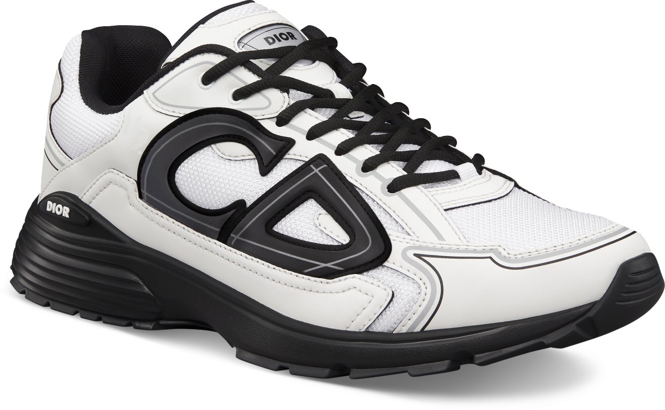 Dior sneakers new sale
