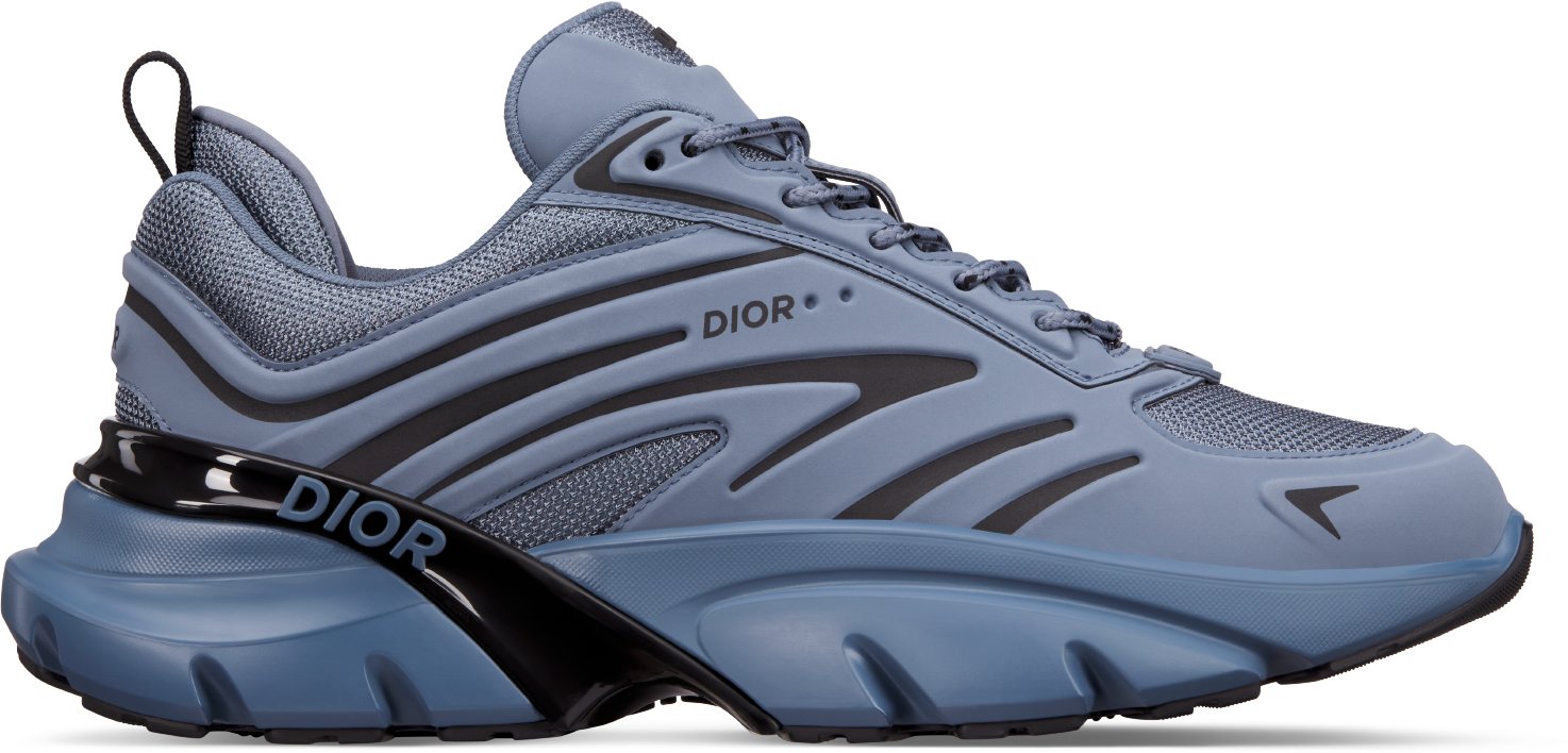 Men s Designer Trainers Sneakers DIOR