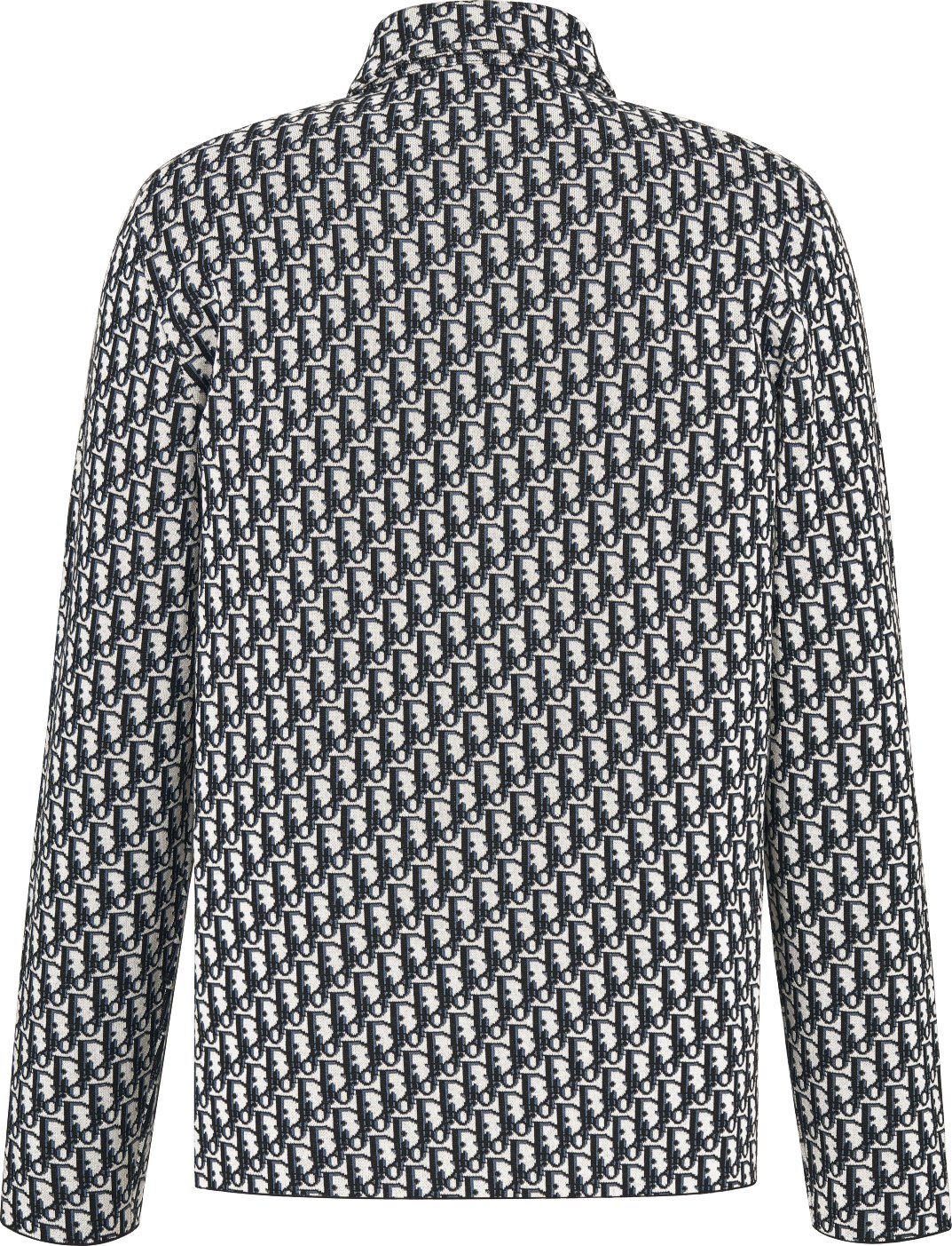 Dior Oblique Overshirt Back view