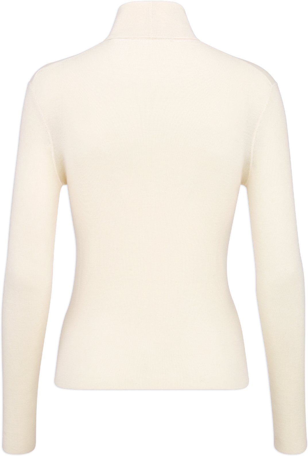 Turtleneck Sweater Back view