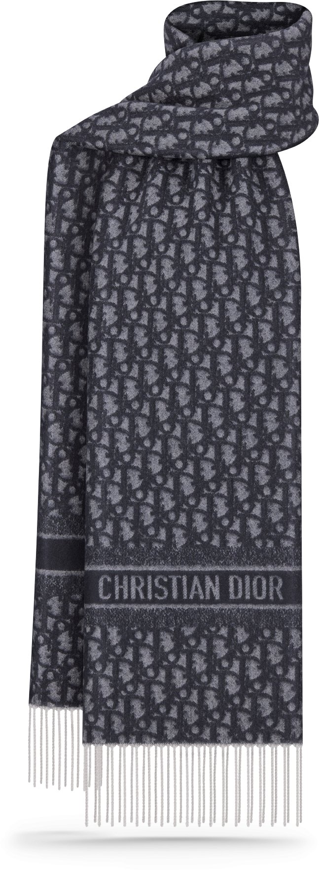 Christian dior oblique shop